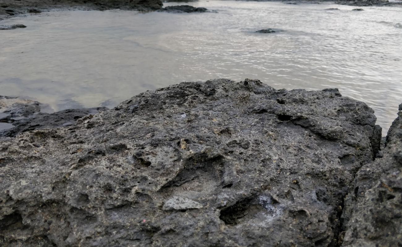 Arenella Beach'in fotoğrafı rocky shore yüzey ile