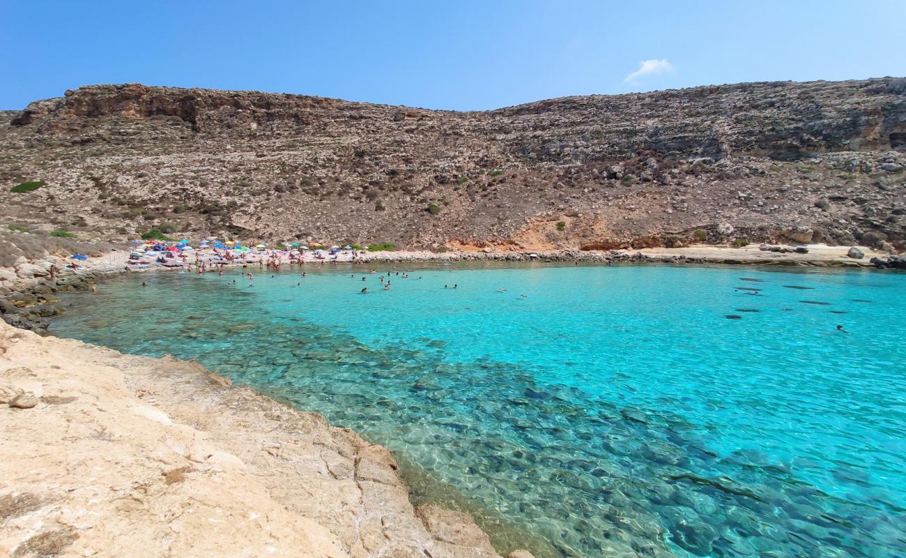 Cala Pulcino'in fotoğrafı taşlar yüzey ile