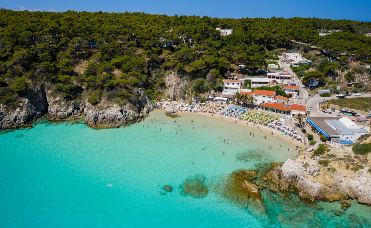 Tremiti Plajı (Arena Koyu)'in fotoğrafı parlak ince kum yüzey ile