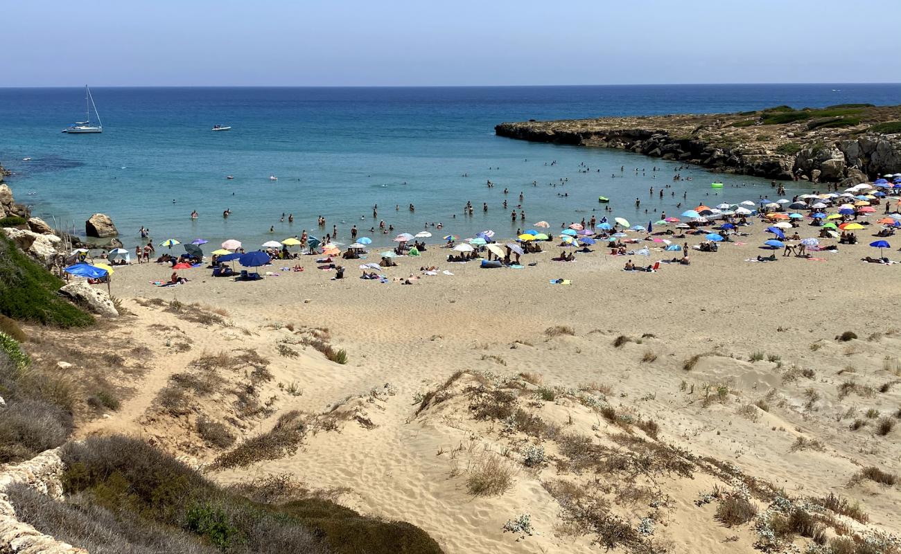 Spiaggia di Calamosche'in fotoğrafı kahverengi kum yüzey ile