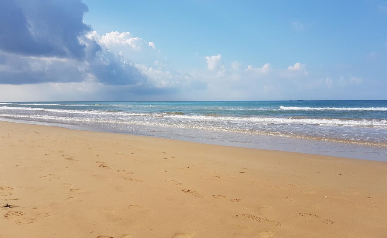 Marina Marza'in fotoğrafı kahverengi kum yüzey ile