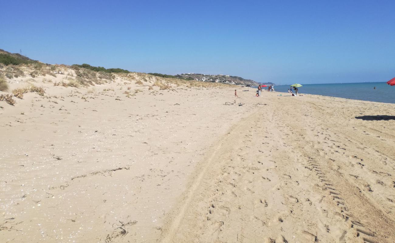 Spiaggia di Manfria'in fotoğrafı i̇nce bej kum yüzey ile