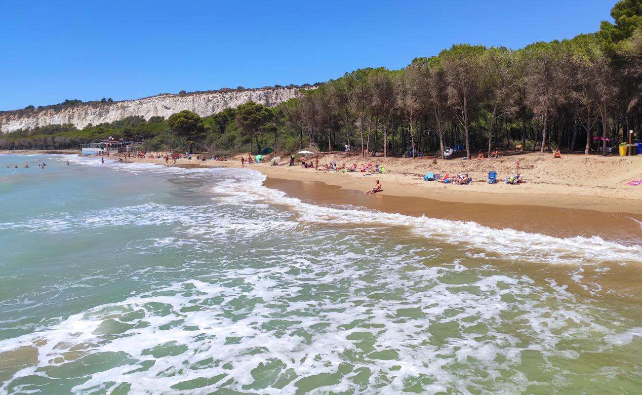 Spiaggia Di Eraclea Minoa'in fotoğrafı parlak kum yüzey ile