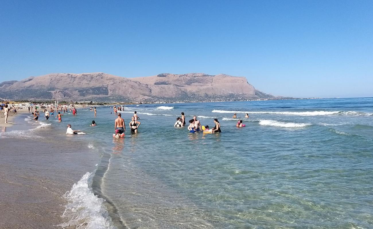 Kiwi beach II'in fotoğrafı parlak kum yüzey ile