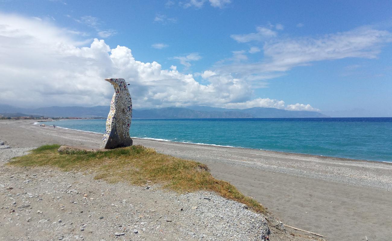 Spiaggia di Spinesante'in fotoğrafı gri kum ve çakıllar yüzey ile