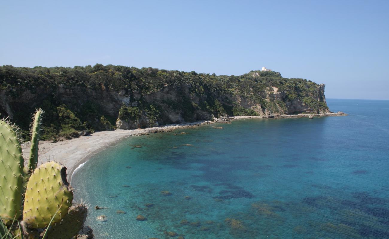 Renelle Bay'in fotoğrafı gri ince çakıl taş yüzey ile