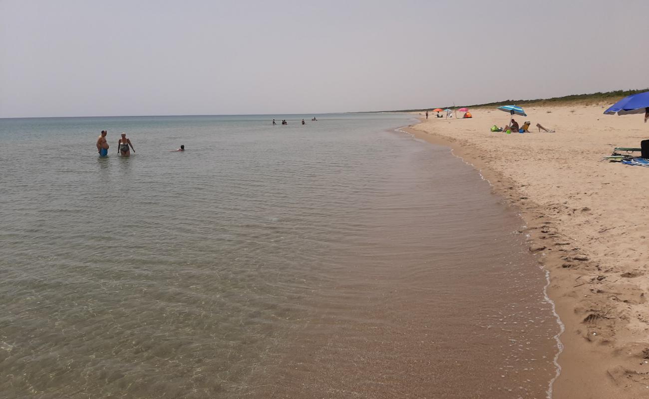 Spiaggia Pino di Lenne'in fotoğrafı i̇nce kahverengi kum yüzey ile