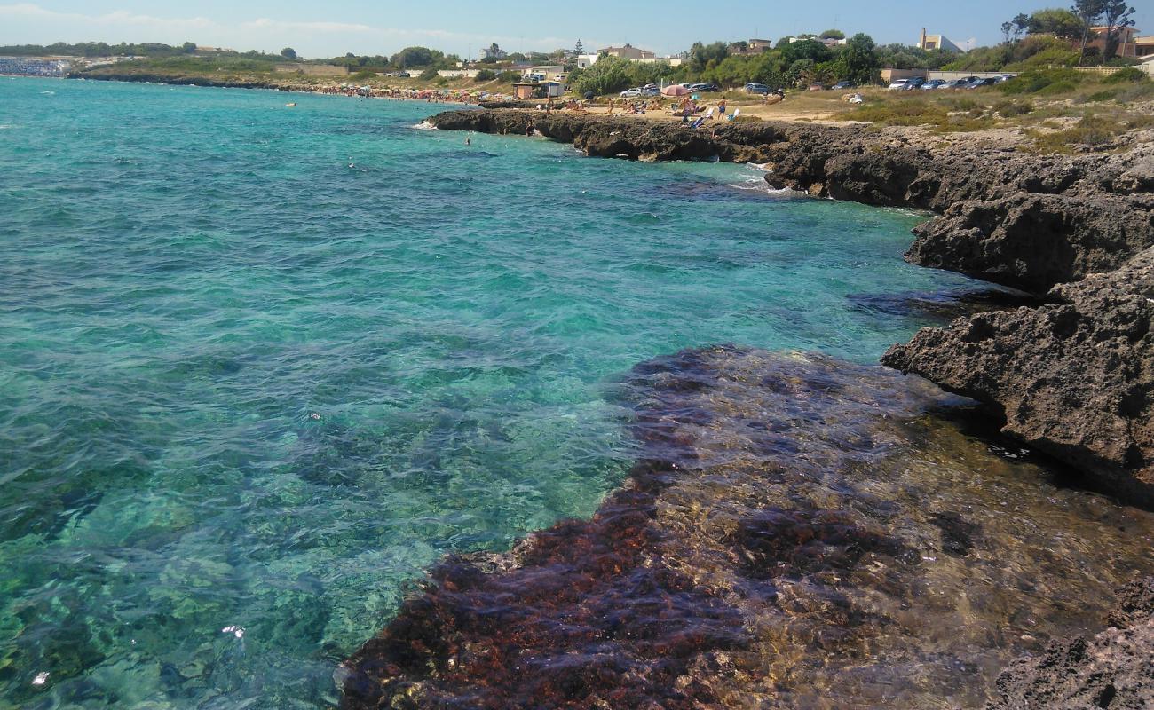 Lamaree Lido'in fotoğrafı çim yüzey ile