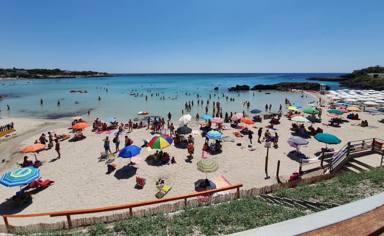 Baia delle Canne Plajı'in fotoğrafı kahverengi kum yüzey ile