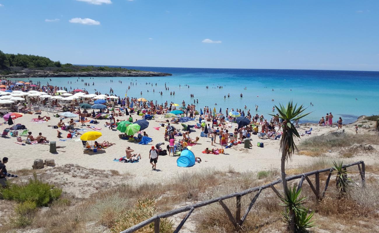 Spiaggia di Montedarena'in fotoğrafı i̇nce kahverengi kum yüzey ile