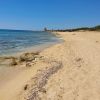 Spiaggia di Punta Cacata