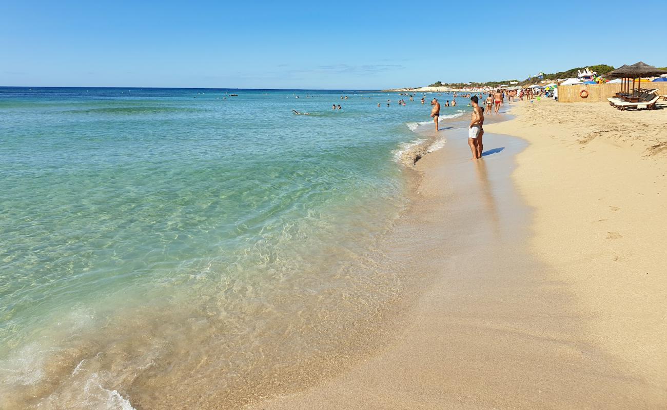 Baron beach'in fotoğrafı parlak ince kum yüzey ile