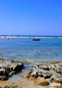 Conigli Adası
