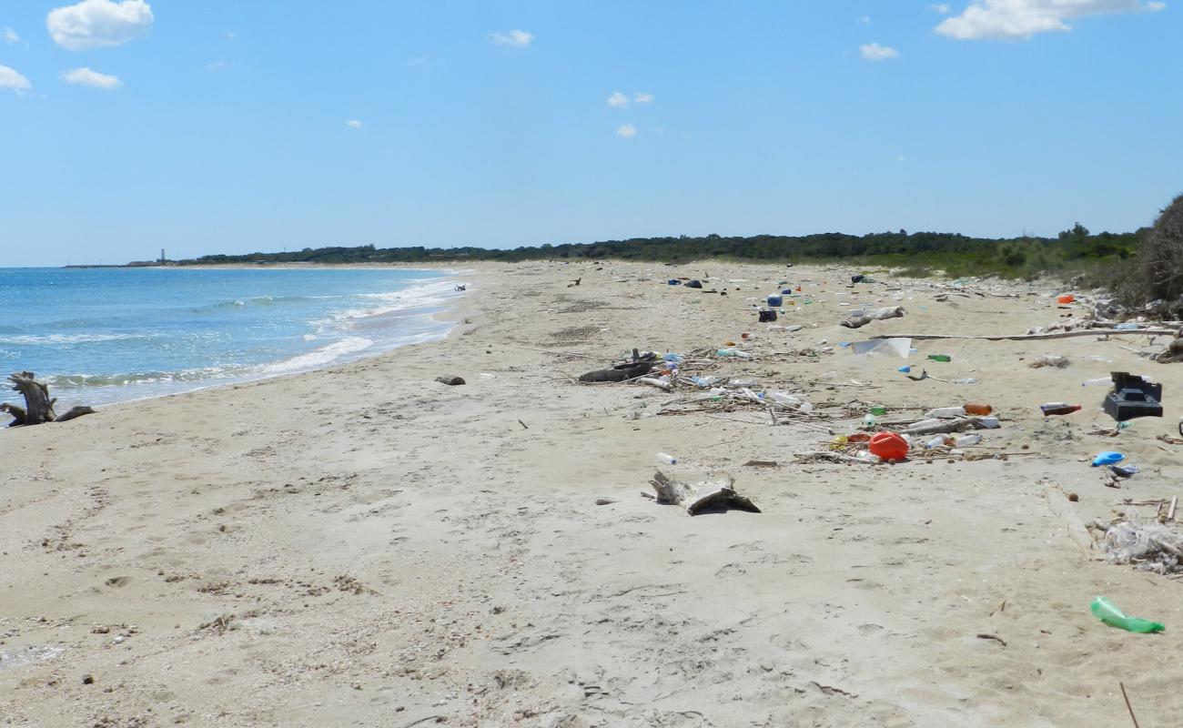 Ponticello Lido beach'in fotoğrafı parlak kum yüzey ile