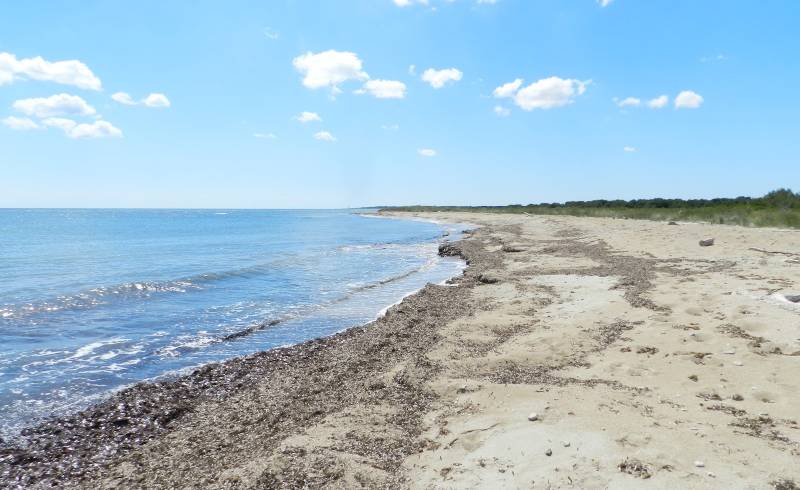 Veneri beach'in fotoğrafı parlak kum yüzey ile