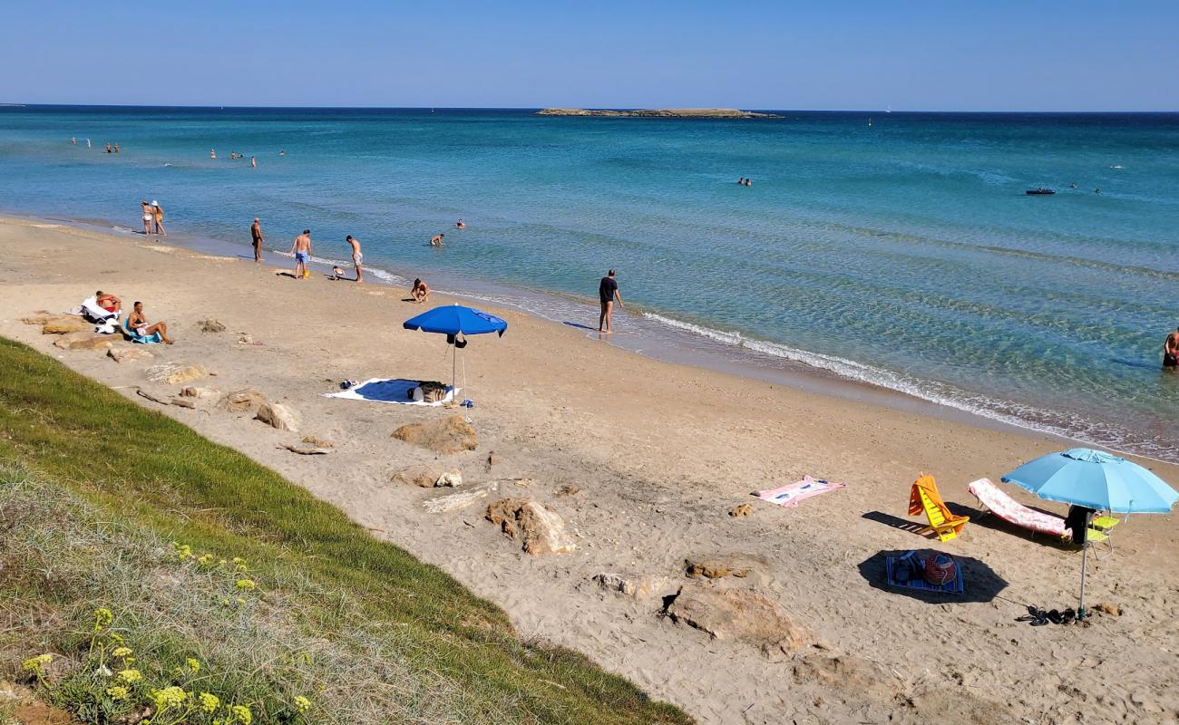 Posticeddu beach'in fotoğrafı parlak ince kum yüzey ile