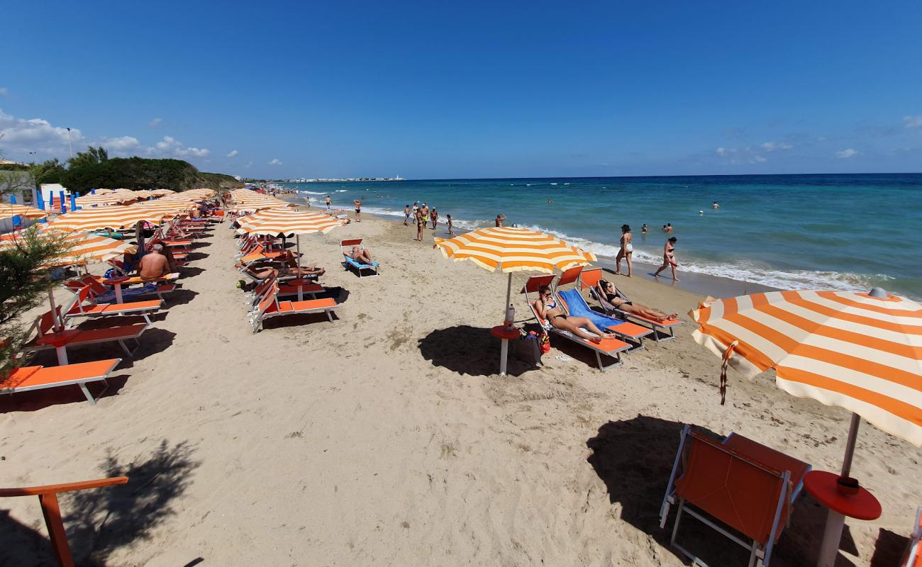 Camping Le Dune beach'in fotoğrafı açık bej kum yüzey ile