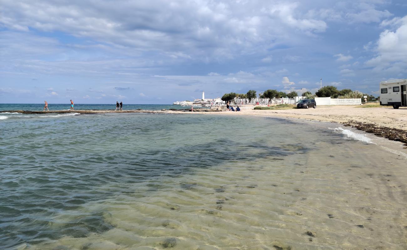 Spiaggia Torre Canne'in fotoğrafı açık bej kum yüzey ile