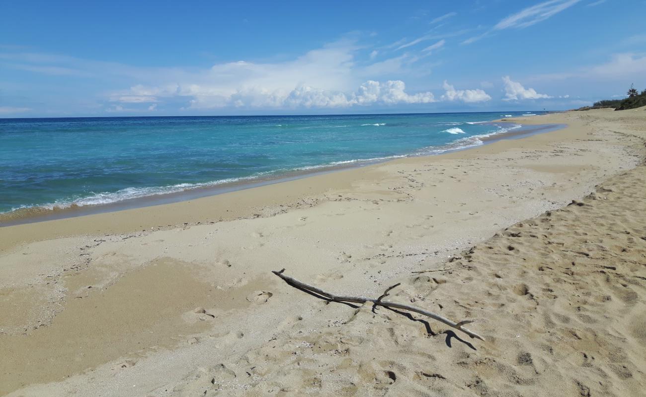 Lido Sunny Bay beach'in fotoğrafı parlak kum yüzey ile