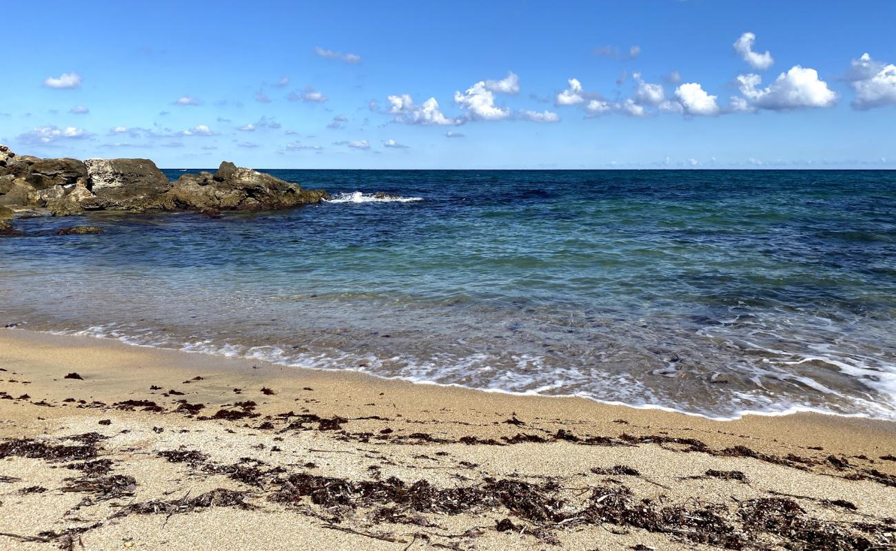 Cala Settanni beach'in fotoğrafı açık bej kum yüzey ile