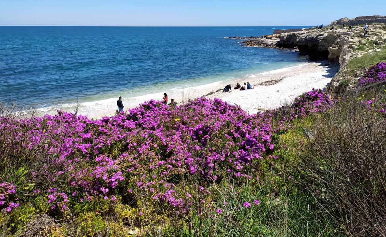 Ripalta beach'in fotoğrafı gri çakıl taşı yüzey ile