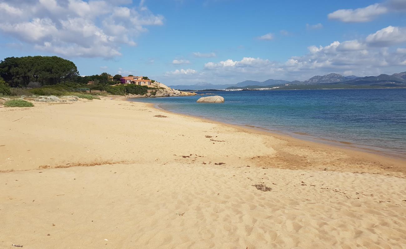 Spiaggia di Punta Tronfino'in fotoğrafı açık bej kum yüzey ile