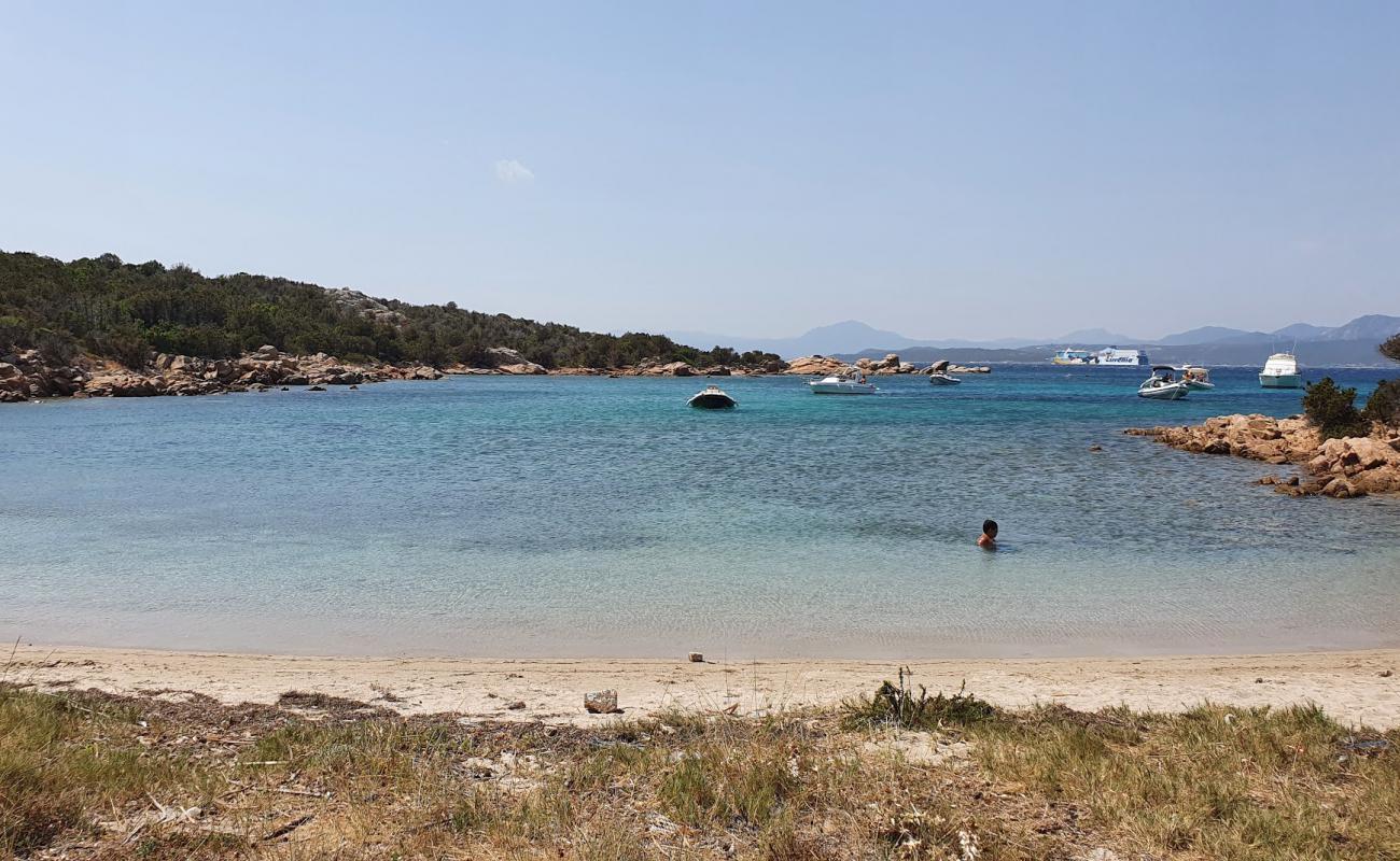 Laura Beach'in fotoğrafı açık bej kum yüzey ile