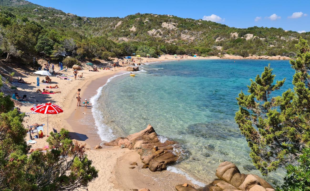 Spiaggia di Poltu Casu'in fotoğrafı kahverengi kum yüzey ile
