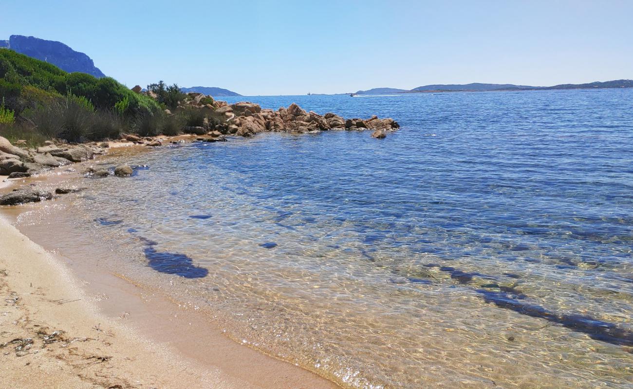 Spiaggetta della Calcatreppula'in fotoğrafı kahverengi kum yüzey ile