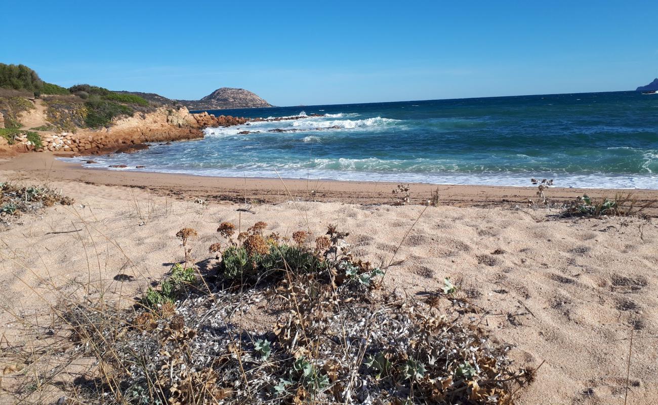 Spiaggia la Finosa'in fotoğrafı açık bej kum yüzey ile