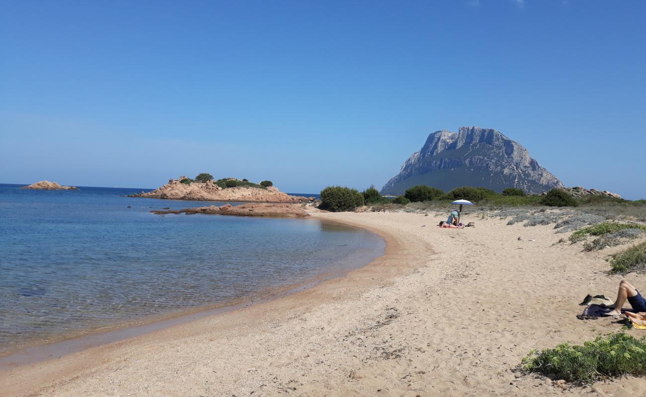 Spiaggia di Punta La Greca'in fotoğrafı siyah kum ve çakıllar yüzey ile