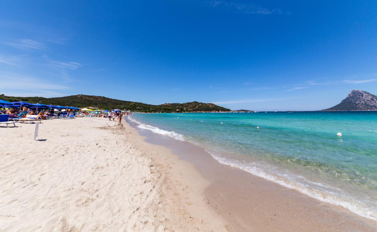 Porto Taverna Plajı'in fotoğrafı parlak ince kum yüzey ile