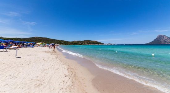 Porto Taverna Plajı