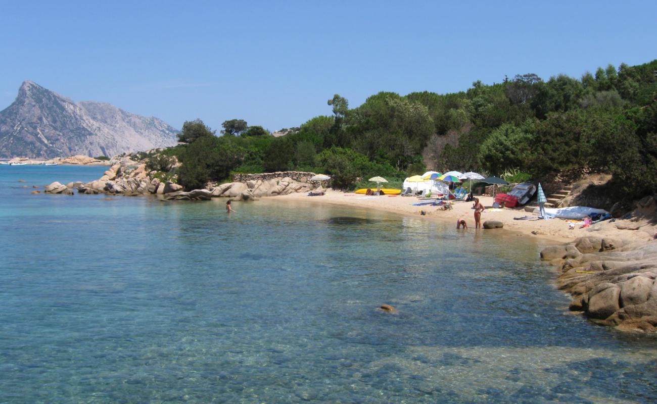 Spiaggia dei Tori'in fotoğrafı kahverengi kum yüzey ile