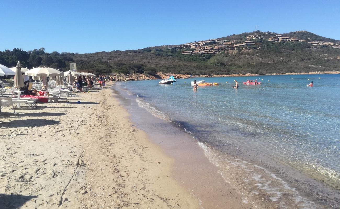 Capo Coda Cavallo Plajı'in fotoğrafı doğal alan içinde bulunmaktadır