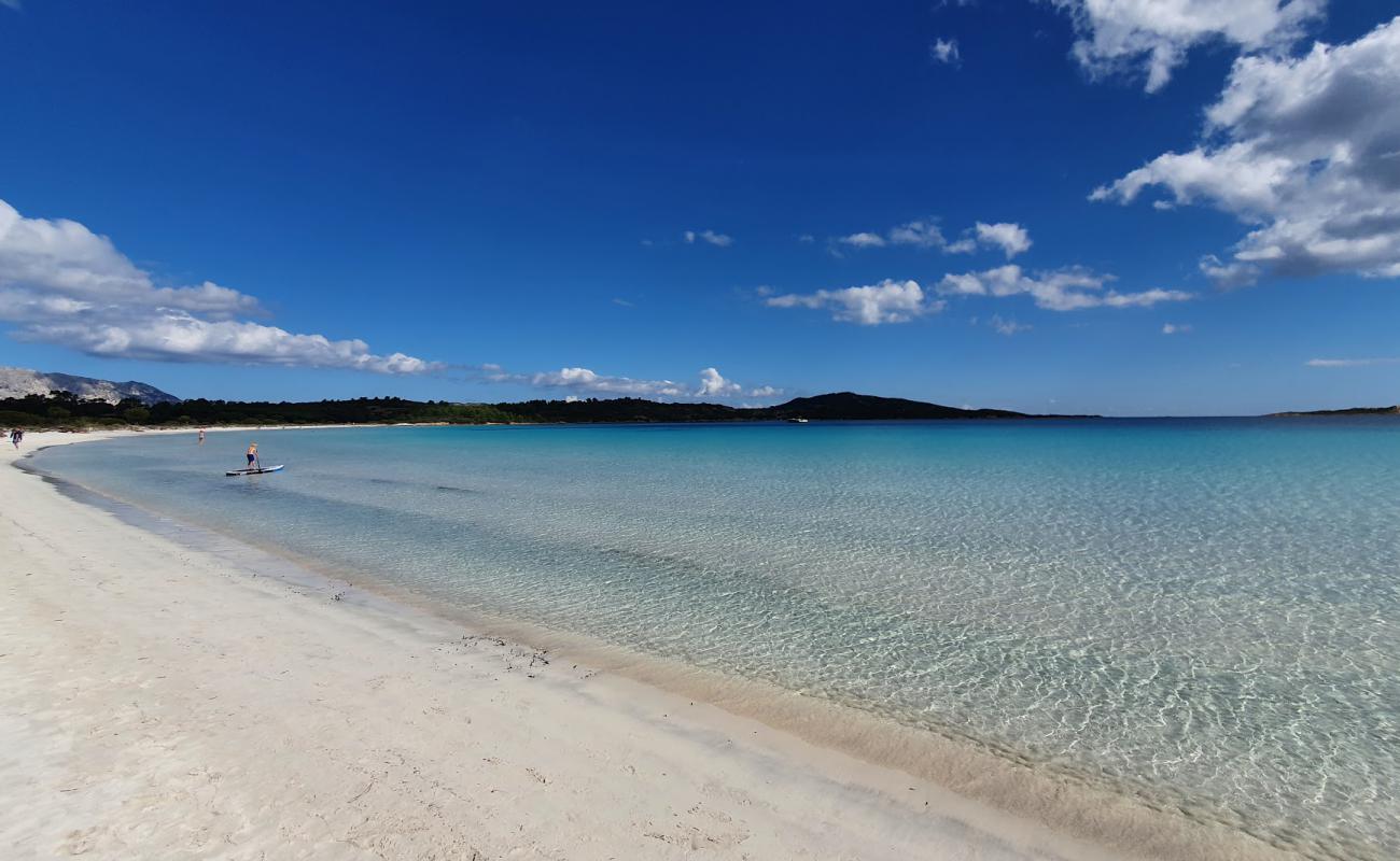 Cala Brandinchi Plajı'in fotoğrafı parlak ince kum yüzey ile