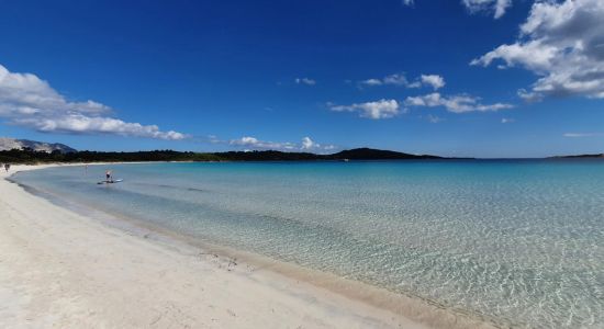 Cala Brandinchi Plajı