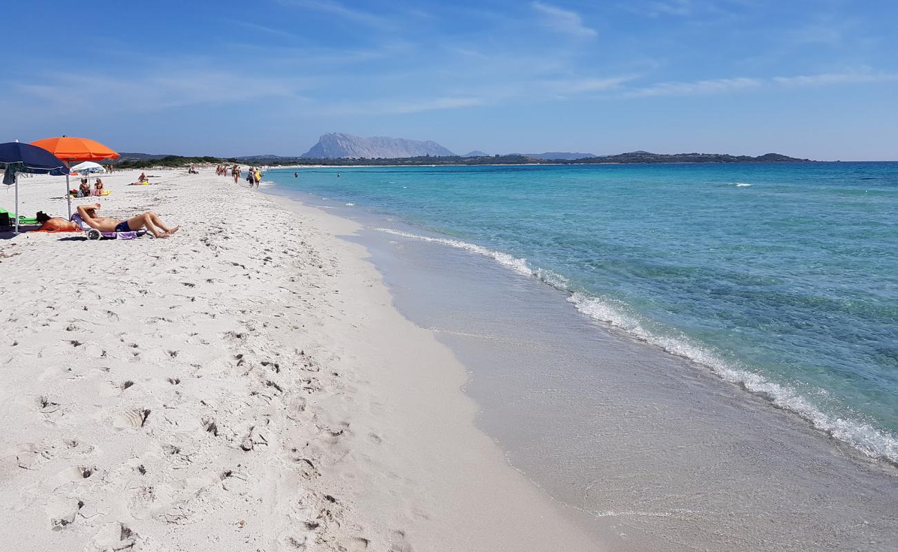 La Cinta Plajı'in fotoğrafı parlak ince kum yüzey ile