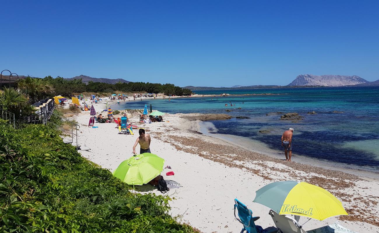 Cala d'Ambra'in fotoğrafı parlak kum yüzey ile