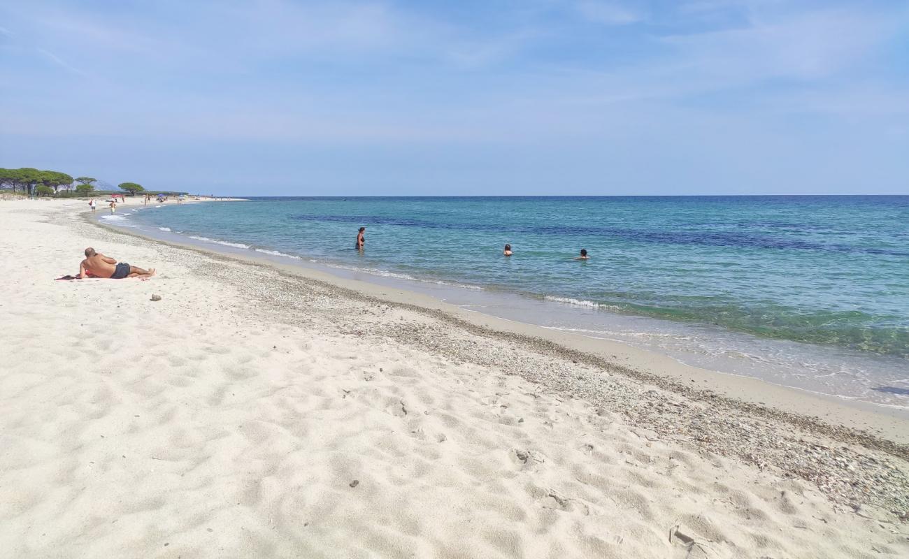 Spiaggia per Cani'in fotoğrafı parlak ince kum yüzey ile