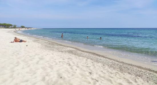 Spiaggia per Cani