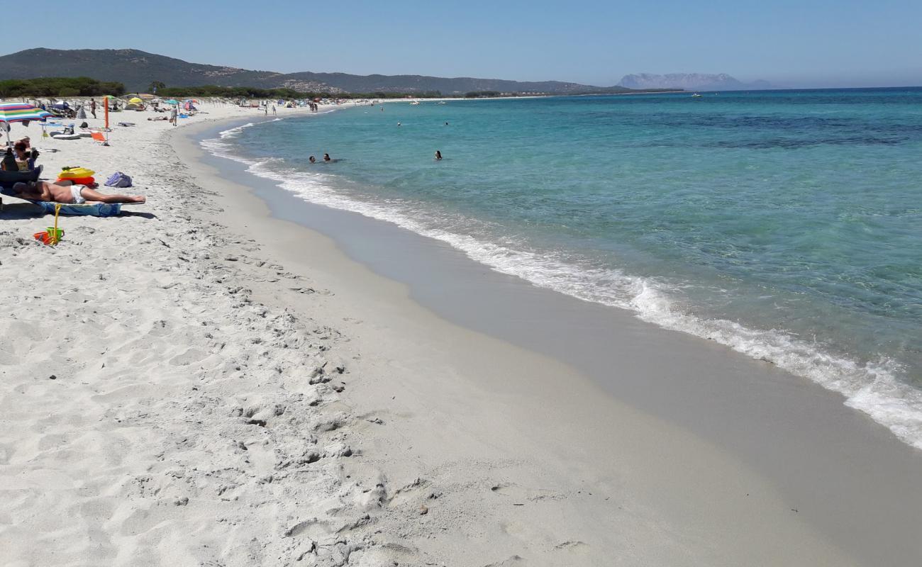 Budoni Plajı'in fotoğrafı parlak ince kum yüzey ile