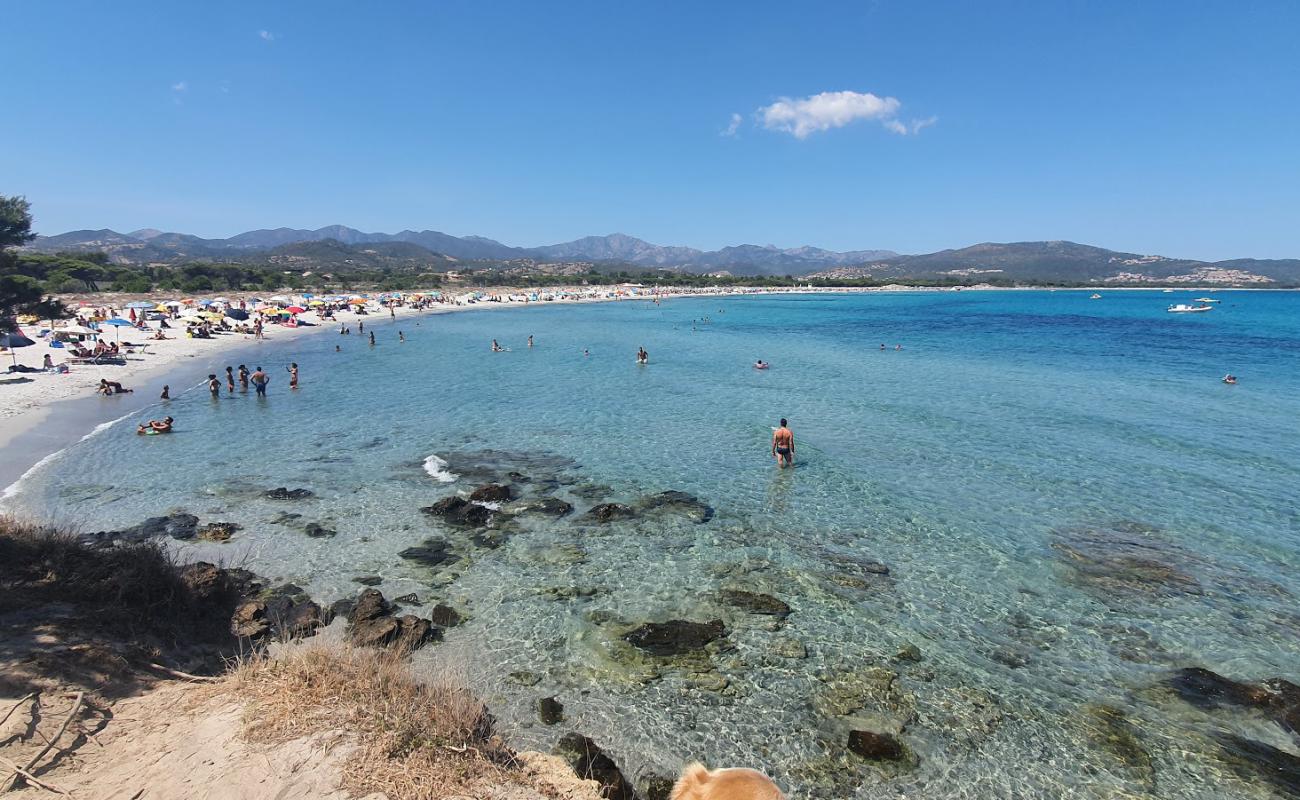 Capannizza Plajı'in fotoğrafı parlak ince kum yüzey ile