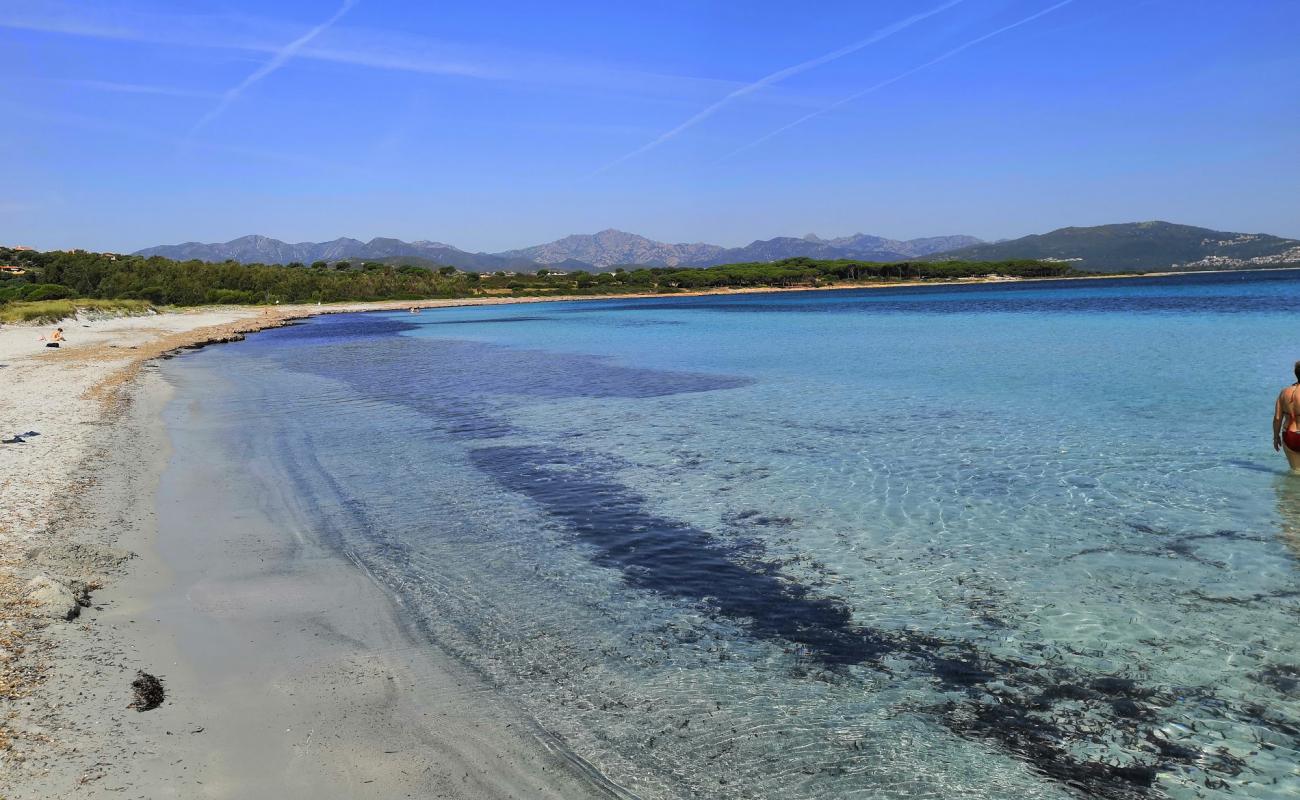 Spiaggia di Porto Ainu'in fotoğrafı parlak kum yüzey ile