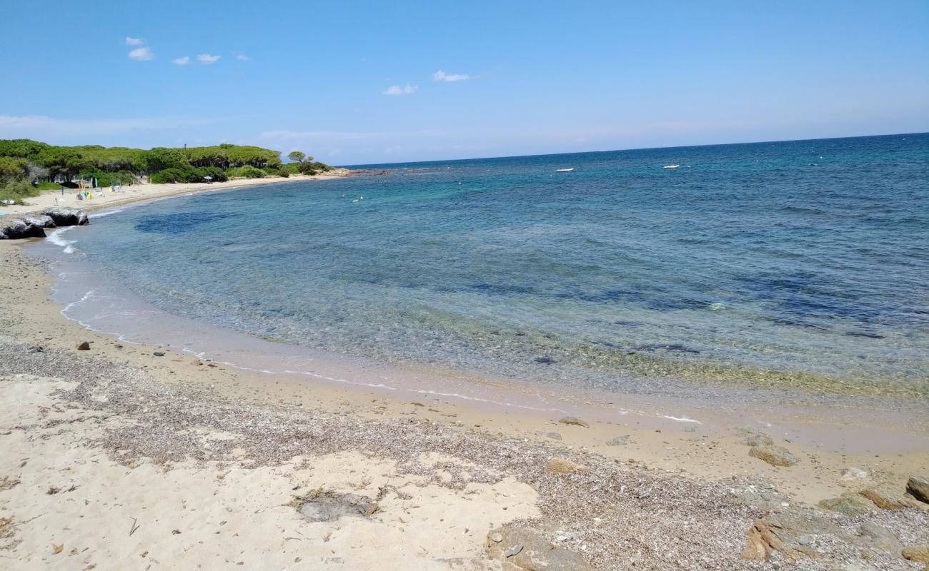 Baia Sant'Anna'in fotoğrafı taşlı kum yüzey ile