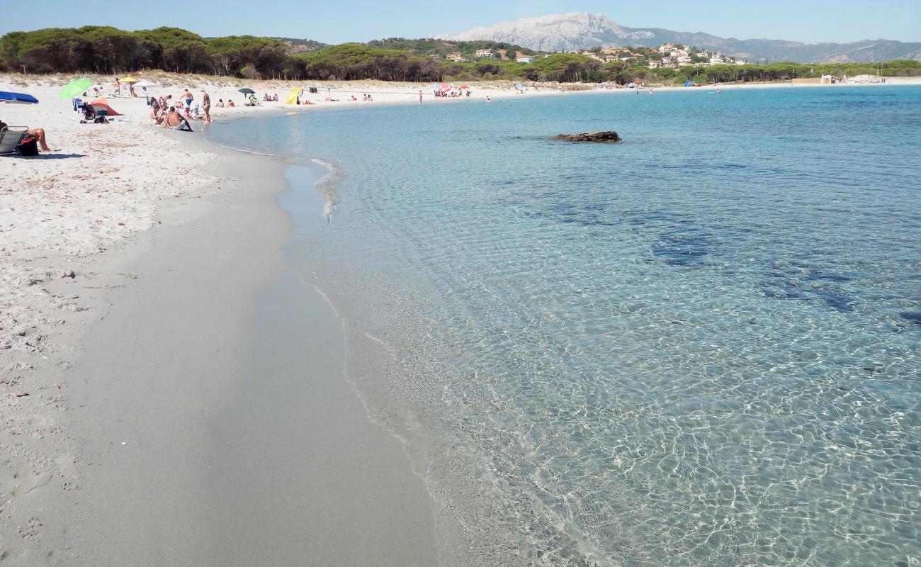 Spiaggia La Caletta'in fotoğrafı parlak ince kum yüzey ile