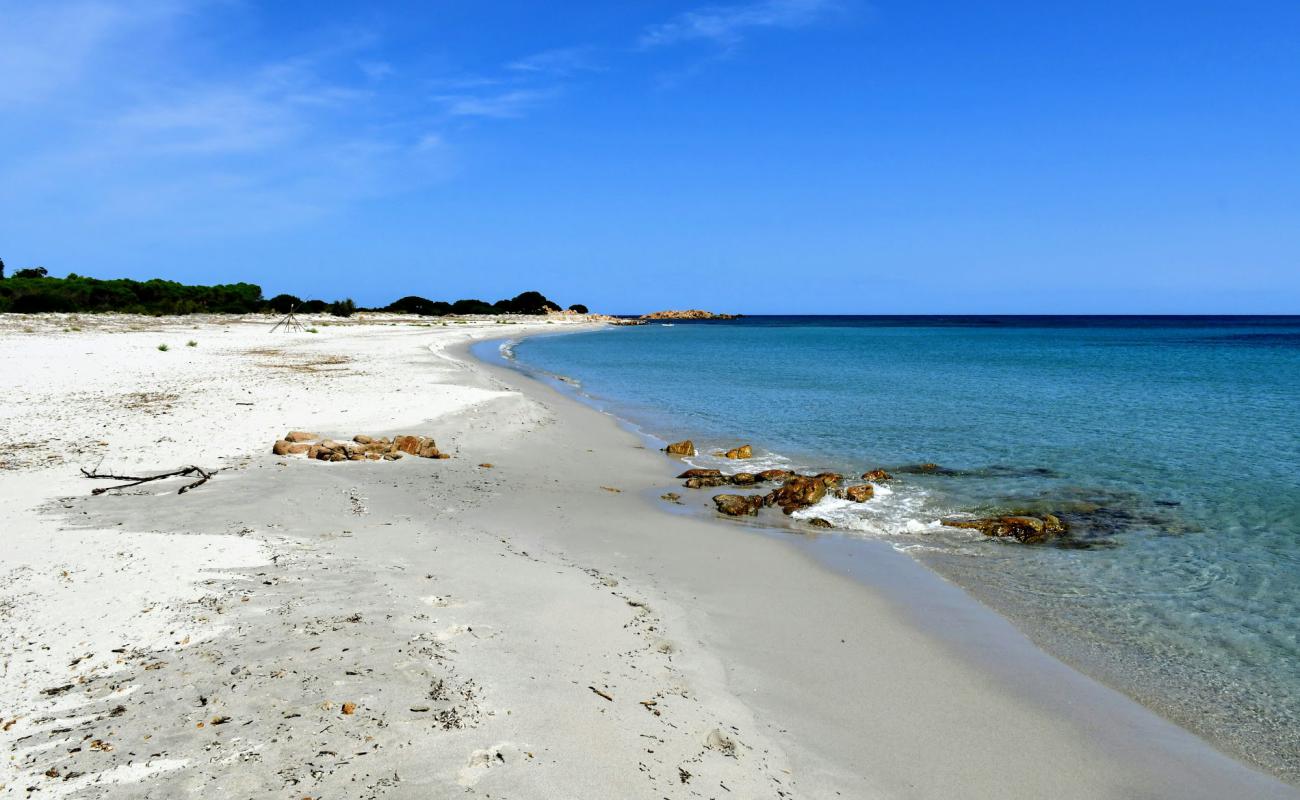 Spiaggia Cannazzellu'in fotoğrafı parlak kum yüzey ile