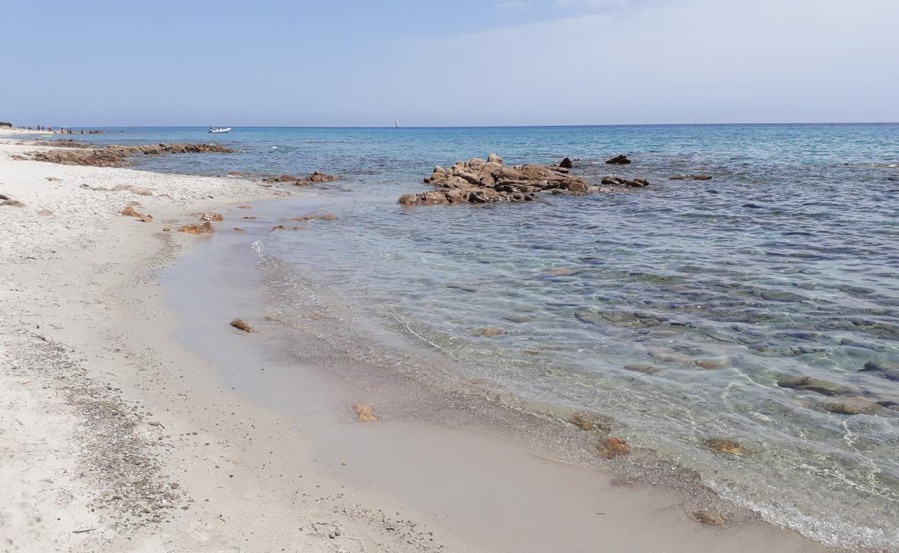 Riserva Bidderosa'in fotoğrafı çakıl ile kum yüzey ile