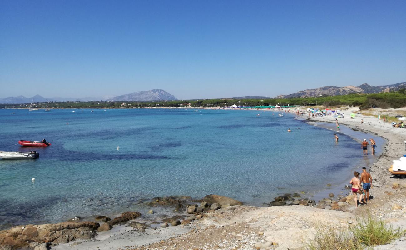 Cala Ginepro Plajı'in fotoğrafı parlak ince kum yüzey ile