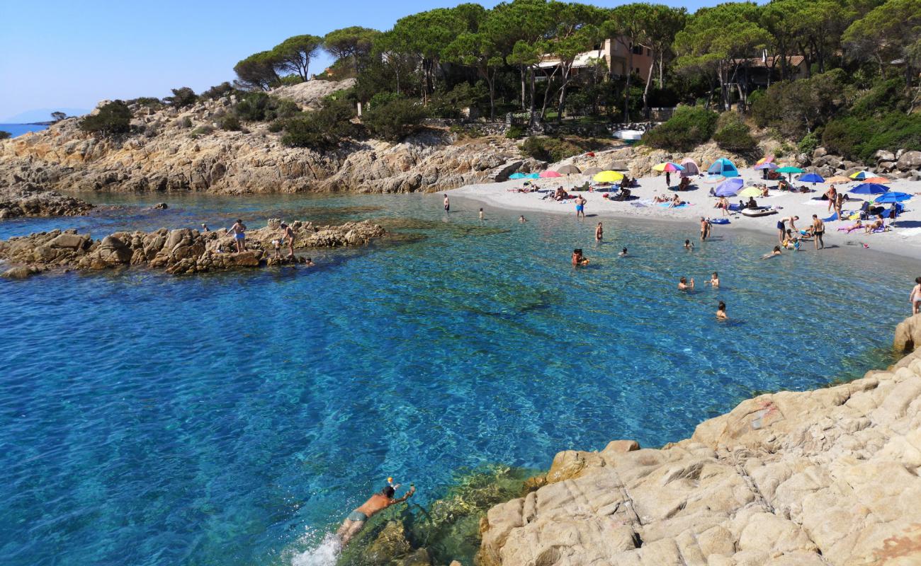 Spiaggia Di Cala Liberotto'in fotoğrafı parlak ince kum yüzey ile